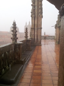 wet tiled floor on the top of Cathedral in Salamanca