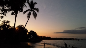 Sunset at the beach with palm trees on the left hand side of the image